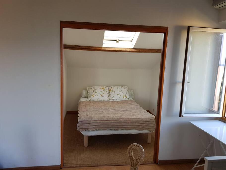 Appartement Pres Des Plages Du Mourillon Toulon Dış mekan fotoğraf