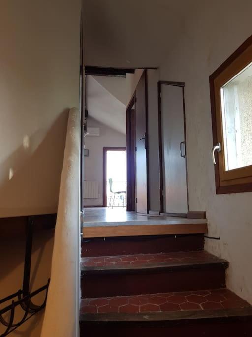 Appartement Pres Des Plages Du Mourillon Toulon Dış mekan fotoğraf