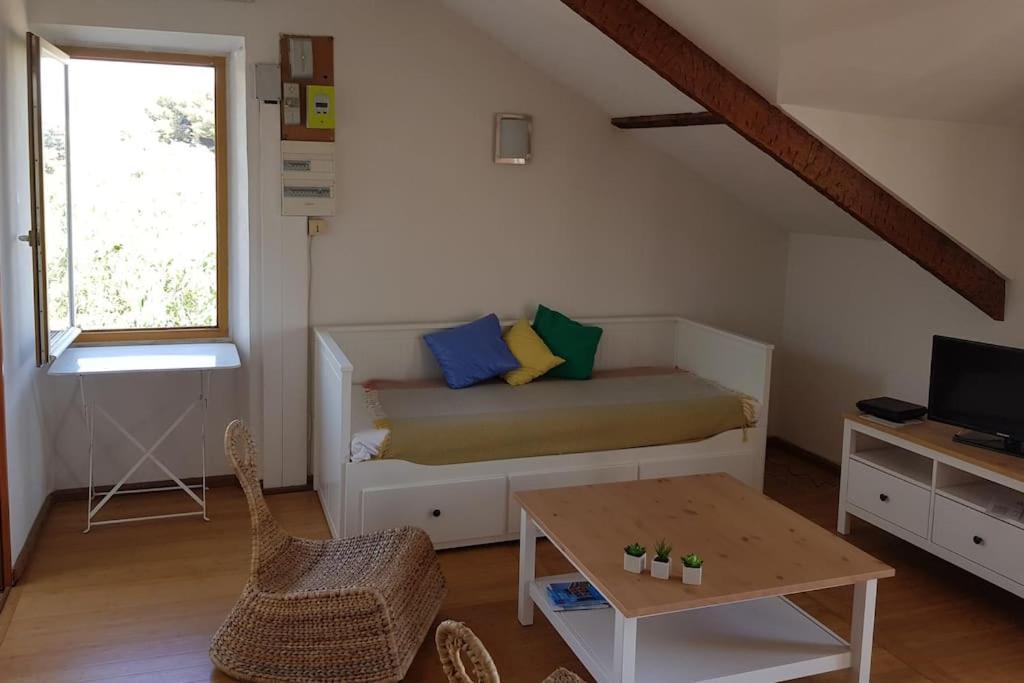 Appartement Pres Des Plages Du Mourillon Toulon Dış mekan fotoğraf